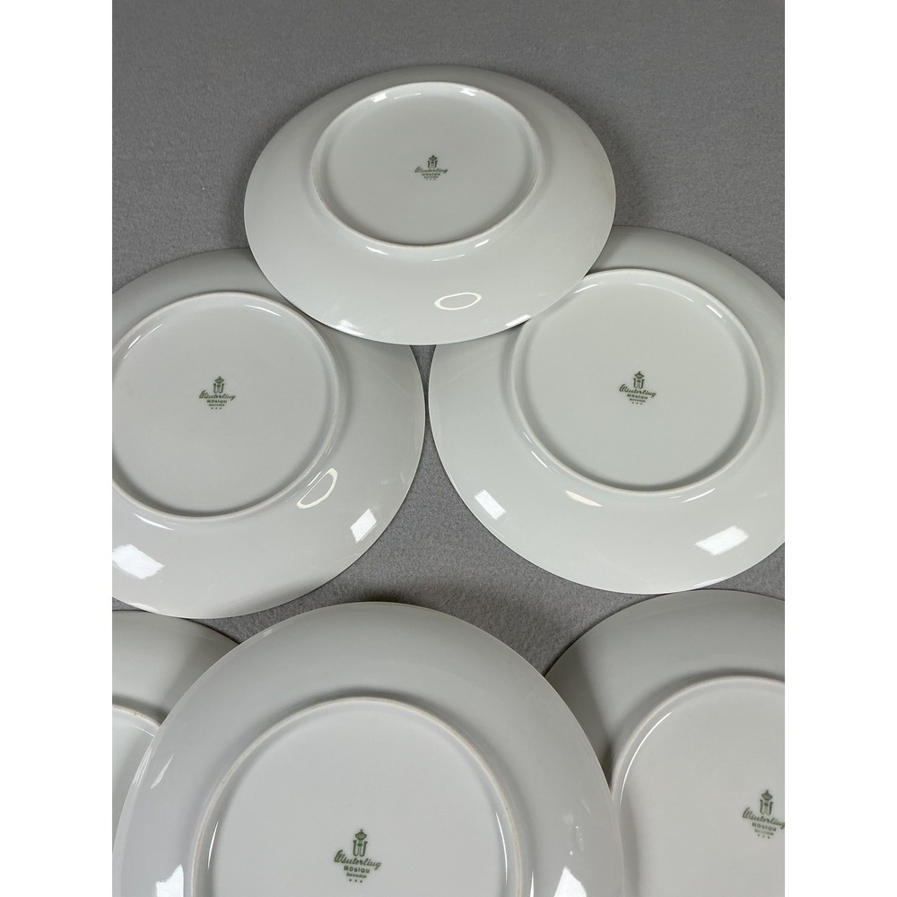 Winterling Roslau Bavaria Apple Plates Set 6‎ White Porcelain Fruit - Picture 4 of 8